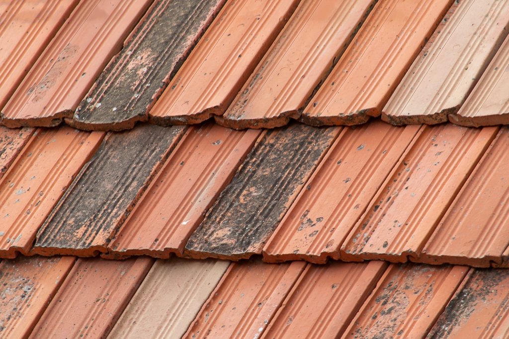 Weathered clay roof tiles with moss and dirt